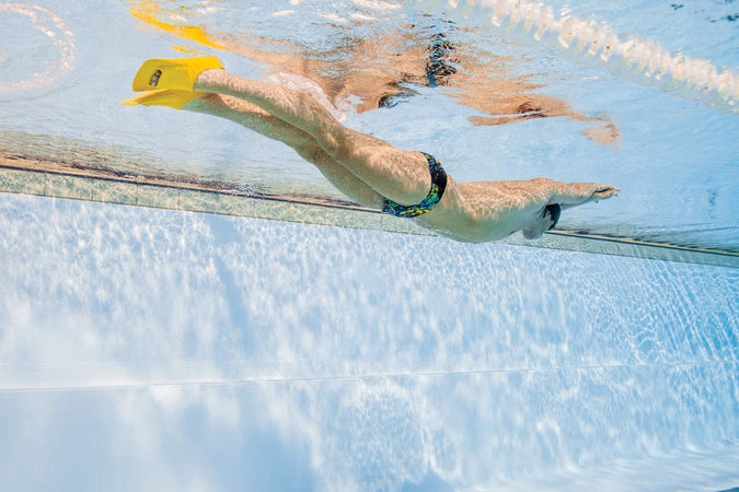 Zoomer Gold Fins